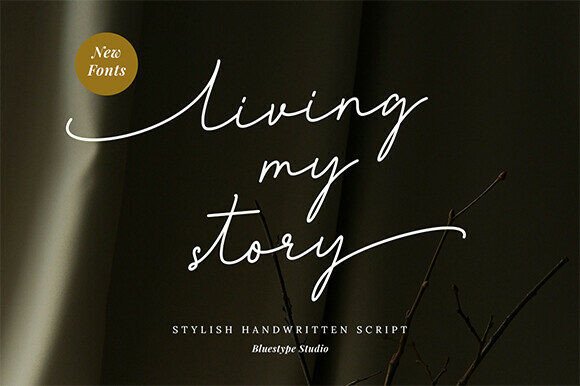 Living My Story: The Handwritten Typeface for Authentic Web Design
